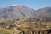 The Colca Valley is one of the most intensively terraced regions in the Andes 